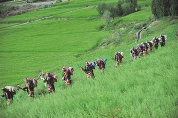 山南市瓊結(jié)縣村民喜迎望果節(jié)