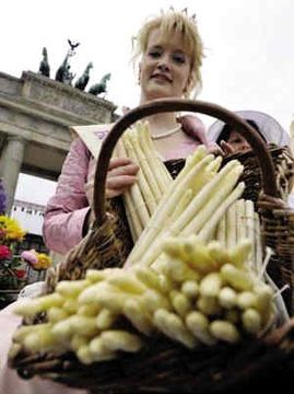 2011上班族年假大計劃　讓旅行再幸福一點