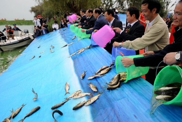 云南放流滇池10余萬尾魚 改善滇池水域生態環境