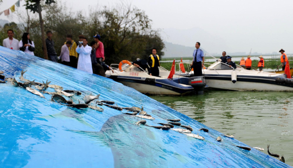 云南放流滇池10余萬尾魚 改善滇池水域生態環境