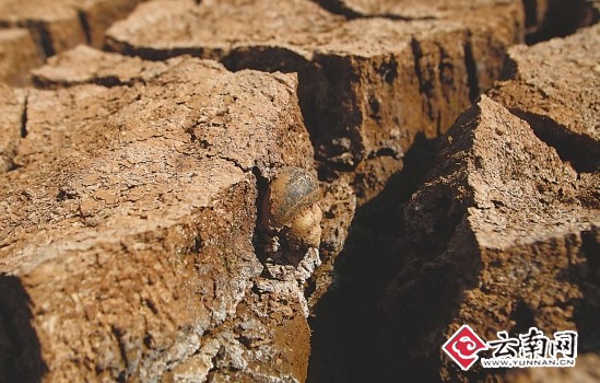 四大原因致云南省持續干旱 抗旱形勢嚴峻