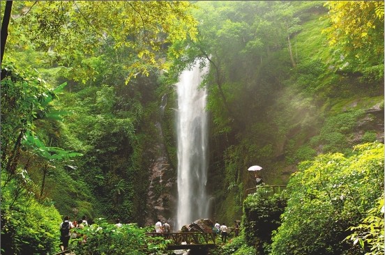 云南力爭到2020年全省林業總產值達2000億元