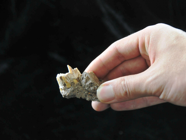 云南發現萬年前古人類“少數民族”種群