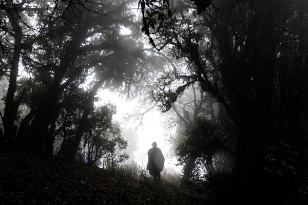 影像在天地 至樂寄山林:體驗中國野生動物攝影訓練營