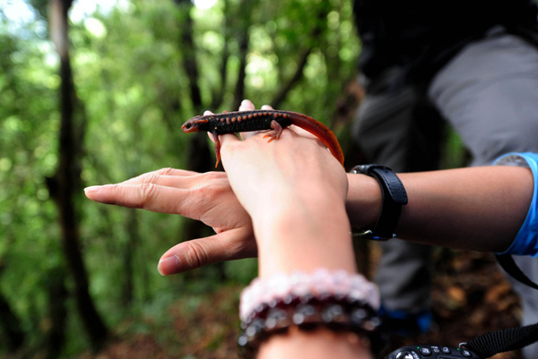 影像在天地 至樂寄山林：體驗中國野生動物攝影訓練營