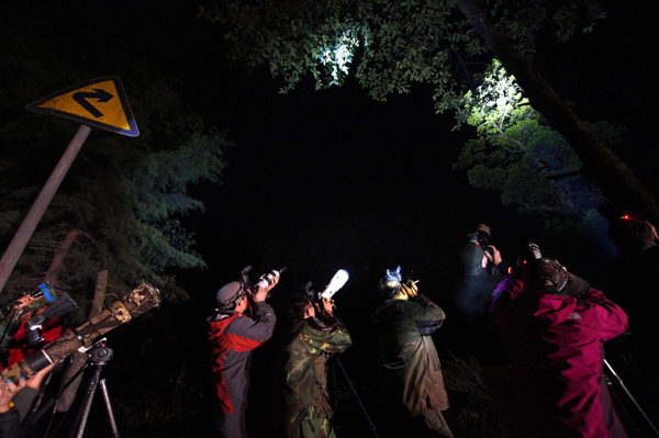 影像在天地 至樂寄山林:體驗中國野生動物攝影訓(xùn)練營