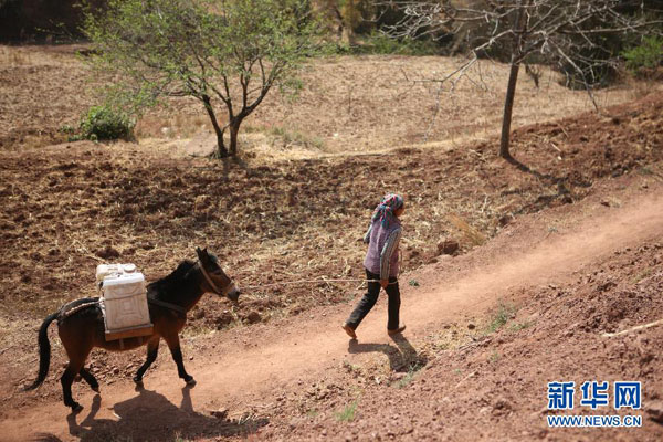 干旱致云南“九湖”水量減少一個(gè)“滇池”