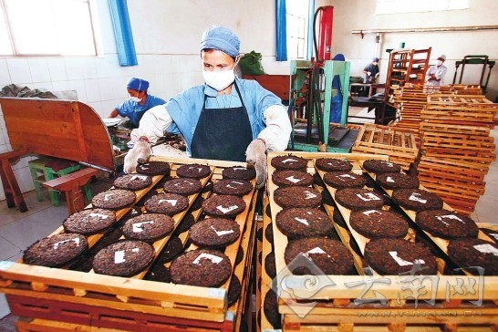 第七屆中國生物產業大會：凝聚智慧共謀發展新路