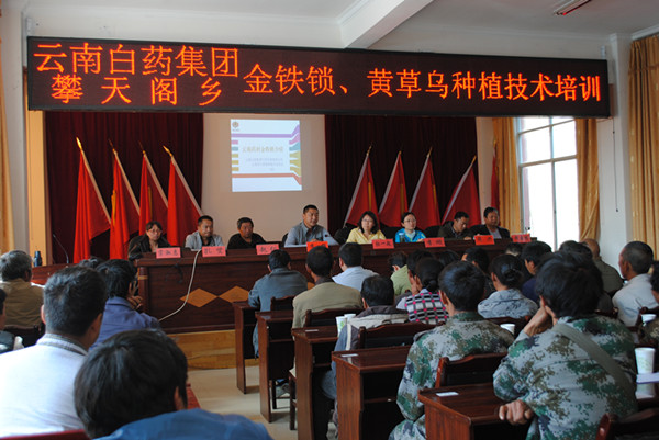 云南白藥精準扶貧惠及維西687貧困戶