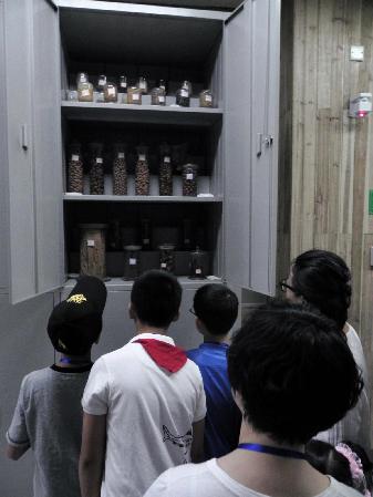 浙江自然博物館舉行庫房開放日活動