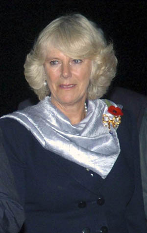 擔(dān)心恐怖襲擊 查爾斯“提心吊膽”訪巴