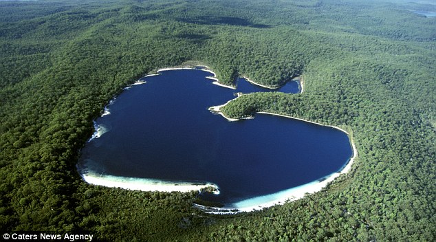 世界充滿愛！外媒展示一系列心形圖片為情人節預熱