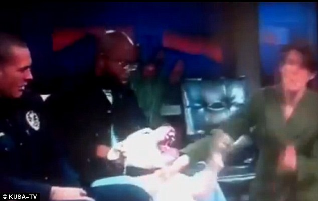 美國女主持直播中“采訪”烈犬嘉賓 被咬傷嘴唇送醫(yī)院