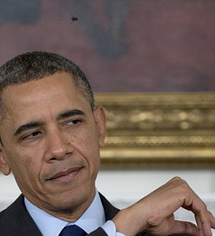 太歲頭上動土!奧巴馬白宮活動遭蒼蠅“立上頭”