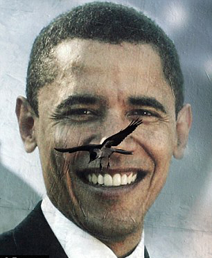 太歲頭上動土!奧巴馬白宮活動遭蒼蠅“立上頭”