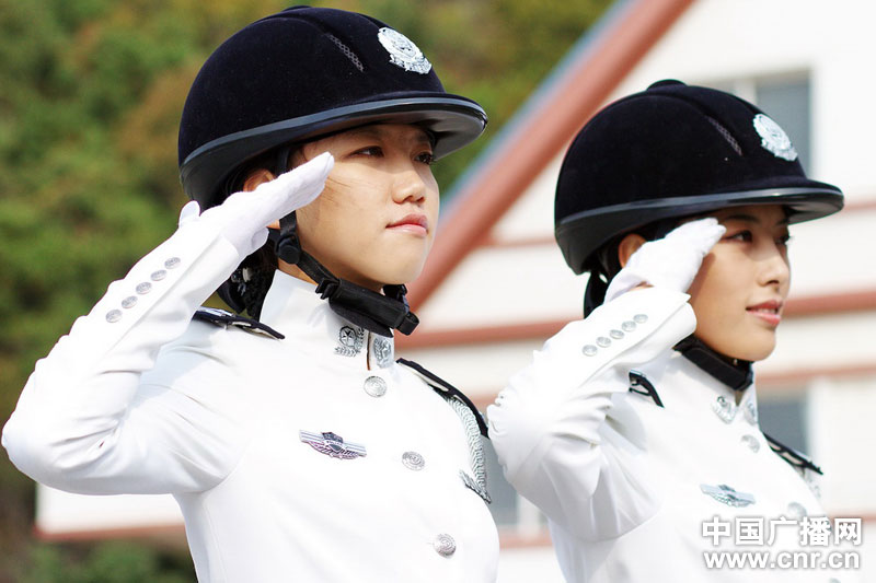 每匹馬養(yǎng)護成本2500元/月?探秘大連女騎警訓(xùn)練基地