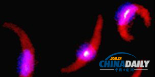 新型疫苗預(yù)防瘧疾 實(shí)驗(yàn)結(jié)果令人鼓舞