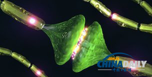 科學家發現睡眠補充腦細胞