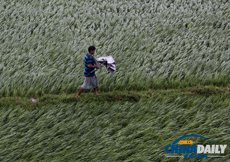 超強臺風(fēng)“費林”襲擊印度 數(shù)十萬人緊急疏散