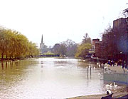 Shakespeare's Birthday（莎士比亞誕辰紀念日）