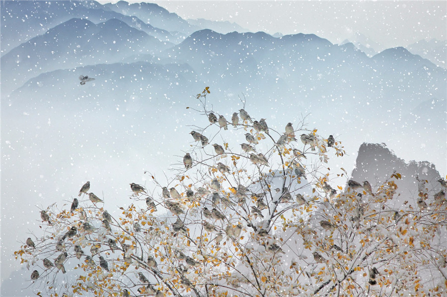 如詩如畫：“美麗中國·夢想中國”攝影大賽優秀作品欣賞（組圖）