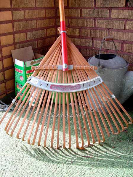 日常會話:Yard Work