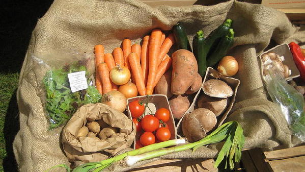 減肥從尋找“入門(mén)蔬菜”開(kāi)始