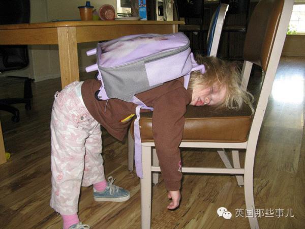 這群熊娃只不過(guò)上了一天學(xué) 感覺(jué)時(shí)光飛逝50年（組圖）