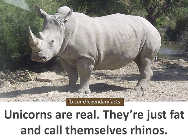 九個令人發笑又發人深省的事實（組圖）