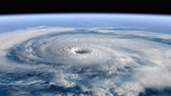 迪斯尼開創新電影品牌--“迪斯尼自然”