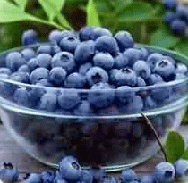 Quick blueberry-peach crisp