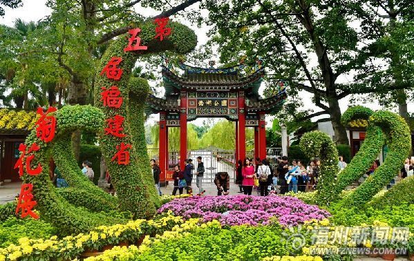 Chrysanthemum exhibition welcomes visitors