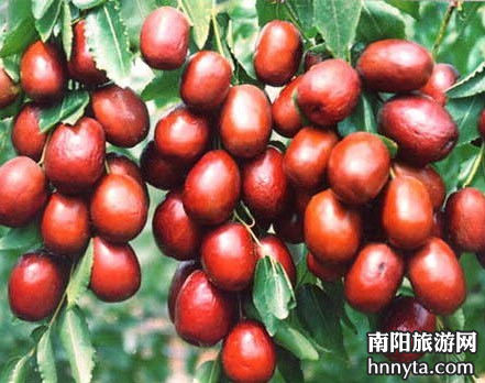 Guangyang Chinese–date