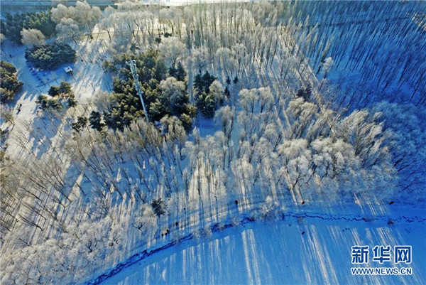 Frost covers Shenyang trees