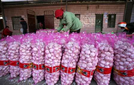 2009：中國瘋狂的大蒜