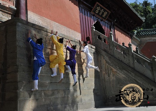 Wudang kung fu makes list of national intangible heritage