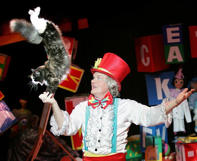 Cat show stunt in Russia<BR>俄羅斯貓兒上演絕技(圖)