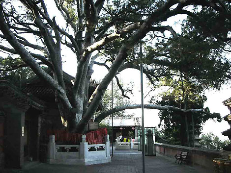 The Jietai Temple (Jie Tai Si)