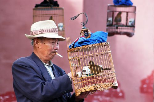 Photo selections of Zhang Bo