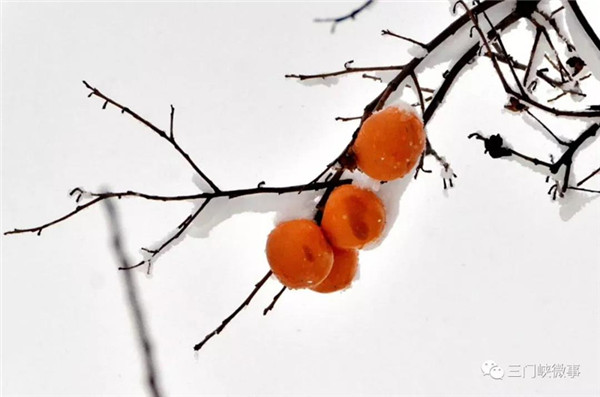 Locals wowed by Sanmenxia's first snow