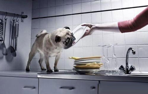 養生：警惕身邊17種有毒生活用品(組圖)