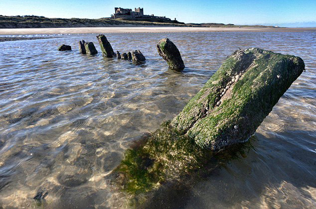 英古堡附近現百年前神秘遇難船(組圖)