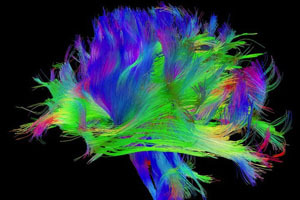 《連線》2013最受關注的13個科學故事