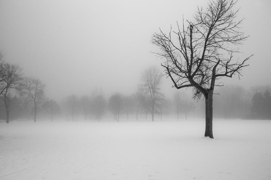 《國家地理》雜志影賽優(yōu)秀作品賞析【高清組圖】