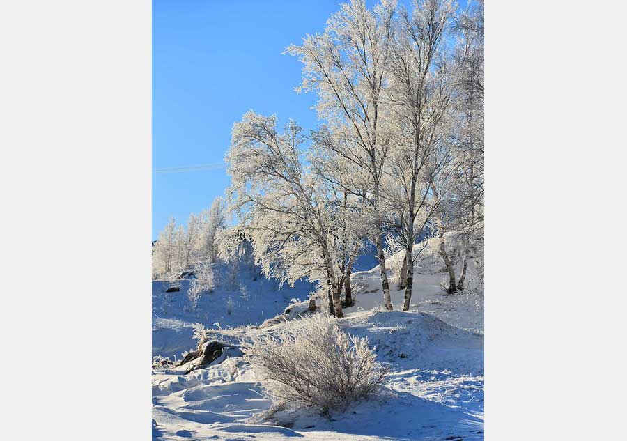 Rime scenery on prairie in Inner Mongolia