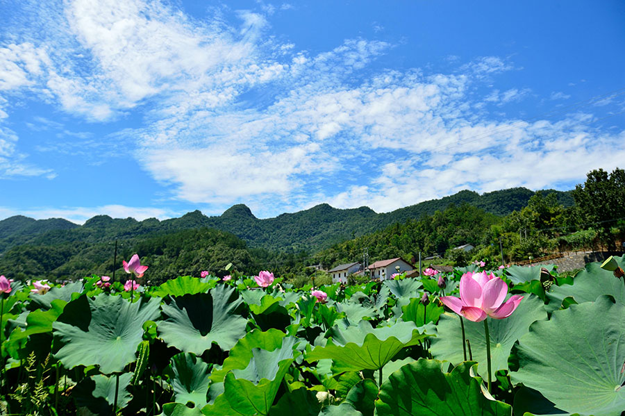 Ecological tourism brings prosperity to Yuanan, Hubei province