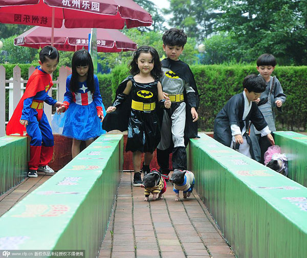 Market plunge leads to Weibo self-mockery