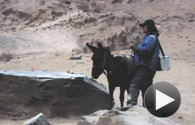 喀拉古塔格日記