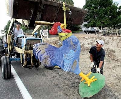 Chicken crosses the road, then abandoned by thief