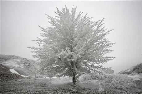 Kazakh leader tempts foreigners with ice and frost